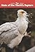 The State of the World’s Raptors
