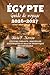 Égypte Guide de voyage 2026-2027 (French Edition)