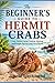 The Beginner’s Guide to Hermit Crabs: Care, Habitat Setup, Feeding, Molting, and Simple Tips for Long-Term Health