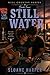 Still Water (Hill Country Series Book 4)
