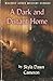 A Dark and Distant Home (Waverly Jones Mysteries)