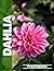 Dahlia Photo Book | Vibrant Dahlia Blooms Captured In Stunning Floral Portrait Photography