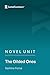 Novel Unit: The Gilded Ones by Namina Forna (SuperSummary)
