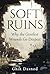 SOFT RUINS: Why the Gentlest Wounds Go Deepest