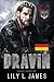 Dravin (Satan's Angels MC, Buch 7): Eine Motorradclub-Romanze (German Edition)