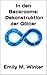 In den Backrooms: Dekonstruktion der Götter (Die Nullraum-Protokolle 3) (German Edition)