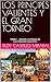 LOS PRINCIPES VALIENTES Y SUS COMPETENCIAS: TOMO 1 (PRINCIPES VALIENTES ILUSTRADO) (Spanish Edition)