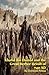 Khalid ibn Hamid and the Great Berber Revolt of 740 AD