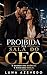 Proibida na Sala do CEO: O acordo era silêncio. O risco era desejo (Portuguese Edition)