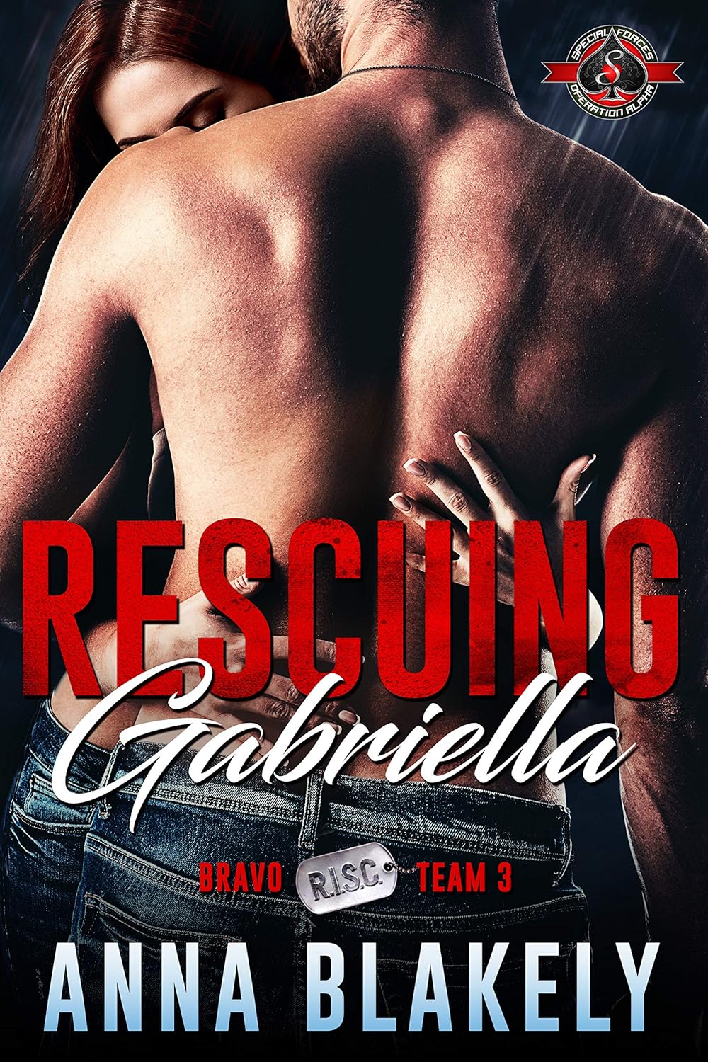 Rescuing Gabriella (R.I.S.C. Bravo Team #3; Special Forces: Operation Alpha)