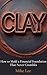 Clay: How to Mold a Financi...