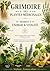 GRIMOIRE DES PLANTES MÉDICINALES - Segment 8 : Énergie & Vitalité: Booster l’énergie, lutter contre la fatigue et renforcer le corps grâce aux plantes ... - Lumière Divine) (French Edition)