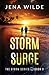 Storm Surge: A Romantic Sus...