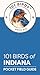 101 Birds of Indiana: Pocket Field Guide (101 Birds Pocket Field Guides)