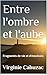 Entre l'ombre et l'aube: Fragments de vie et d'émotions (French Edition)