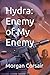 Hydra: Enemy of My Enemy (Hydra: The Noah Family)