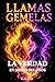 LLAMAS GEMELAS - LA VERDAD EN MEDIO DEL CAOS: ENTRE DOS MUNDOS (Spanish Edition)