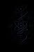 G UNIVERSAL-SYNTHESE: Die W...