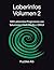Laberintos Volumen 2: 100 Laberintos Progresivos con Soluciones: Fácil, Medio y Difícil (Laberintos en Español) (Spanish Edition)