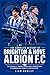 The Complete History of Brighton & Hove Albion FC: The Seagulls' Journey from Early Foundations to Modern-Era Stability and Success