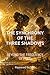 THE SYNCHRONY OF THE THREE SHADOWS: BEYOND THE FREQUENCY OF FEAR (Contemporary Fiction & Fantasy - blended with Mysticism Futurism Spiritualism)
