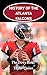 History of the Atlanta Falcons National Football League (NFL) Team: The Dirty Birds Captures the History from Inception to the Present Day