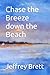 Chase the Breeze down the Beach