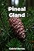 Pineal Gland