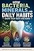 How Bacteria, Minerals, and Daily Habits Shape Your Teeth and Gums