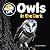 Owls in the Dark (Night Life)