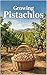 Growing Pistachios: A modern system for planting, caring for, and managing a pistachio orchard with stable and high yields