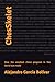 ChesSkelet: How the smallest chess program in the world was made