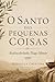 O Santo das Pequenas Coisas : Redescobrindo Tiago Menor (Luzes da Santidade) (Portuguese Edition)