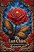 The Last Claim: Dark Vantage Book 3