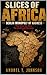 Slices of Africa: Berlin Monopoly of Madness: They Drew the Lines. The World Paid the Price.