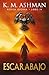 Escarabajo: Águila Oscura - Libro IV: (Águila Oscura: México nº 4) (Spanish Edition)