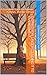 Depression: Understanding It to Overcome It: A Complete Guide for Patients, Families, and the Curious