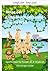 Bedtime Stories for Children | Journey of the Meerkat Family Around the World, Children Can Experience a Journey Around the World Together with the Funny Meerkats