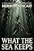 What the Sea Keeps: A Tide-Bound Novella, Book 1