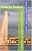 Traveler's Guide to Geneva: Panache Geneva (Panache Travel Guides with Pictures)