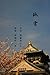 KOUN (Japanese Edition)