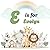 E IS FOR EVELYN: Personalized Alphabet Adventure - Custom Initial & Name ABC Learning Book for Preschoolers