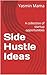 Side Hustle Ideas: A collection of startup opportunities