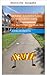 Bennie Barriers Großstadt-Abenteuer (Bennie Barrieres Großstadt-Abenteuer) (German Edition)