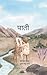 पाती (Hindi Edition)