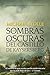 Las sombras oscuras del castillo de Kaysersberg: Novela Histórica (El Huérfano Francés nº 6) (Spanish Edition)