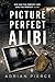 Picture Perfect Alibi: A Domestic Psychological Thriller with a Shocking Twist and Hidden Secrets (The Fractured Mind Thrillers)