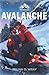 Avalanche: An MM Stepbrother Romance (Ricochet Ridge)