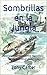 Sombrillas en la Jungla: Una colección de cuantos humoroso del viaje en América del Sur (Spanish Edition)