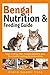 Bengal Nutrition & Feeding Guide: High-Energy Diet, Protein Balance, and Structured Feeding for Active Cats